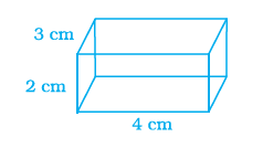 Page 198 Chapter 6 Class 8th NCERT Exemplar